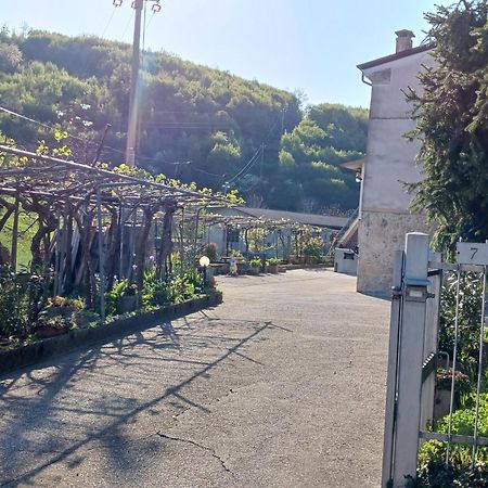 La Torretta - Incantevole Appartamento Nei Colli Berici Nanto Dış mekan fotoğraf