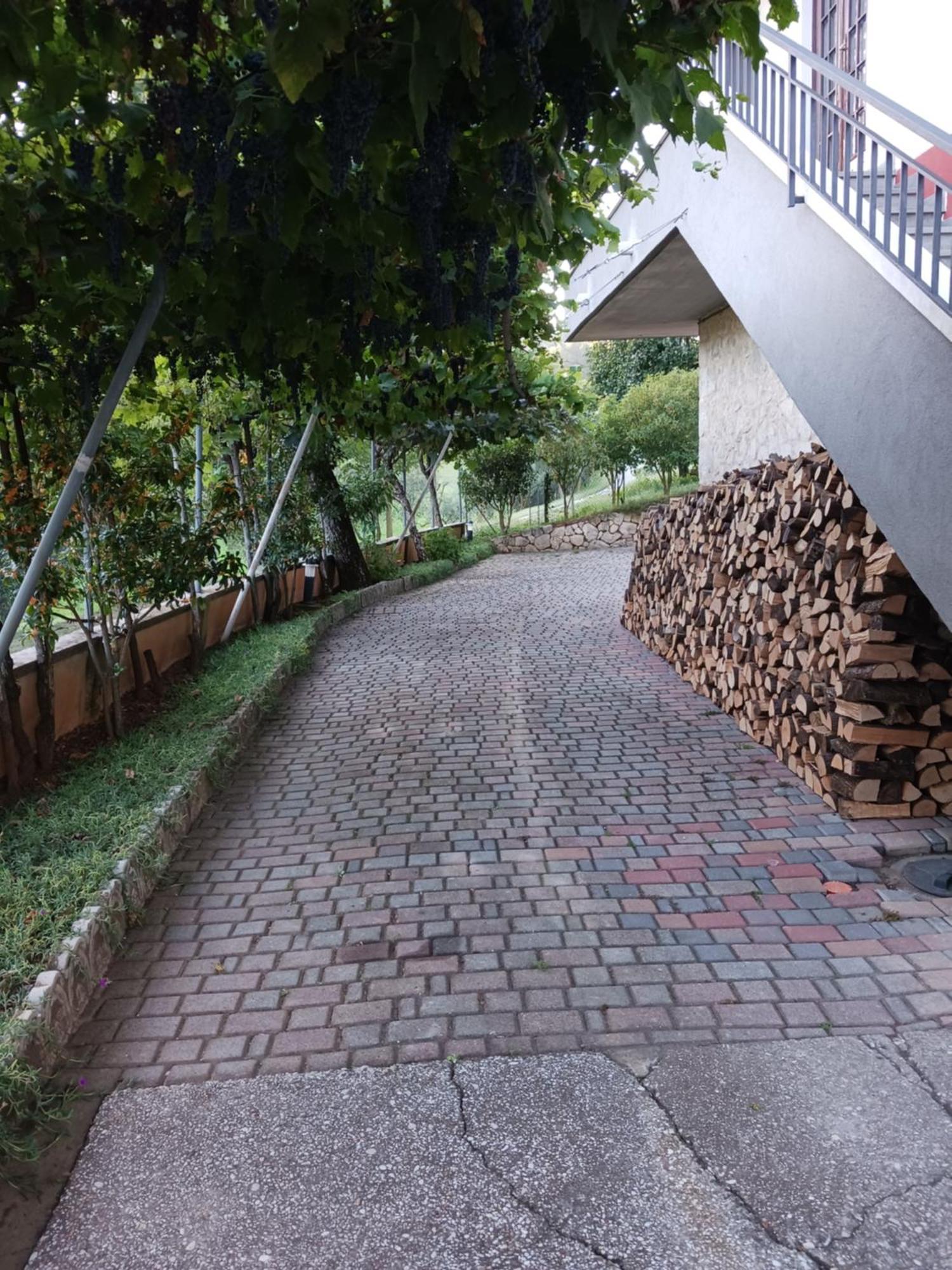 La Torretta - Incantevole Appartamento Nei Colli Berici Nanto Dış mekan fotoğraf