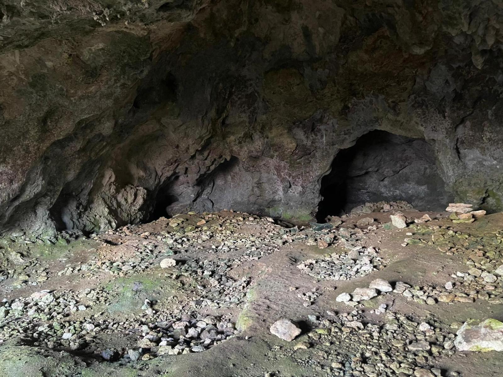 La Torretta - Incantevole Appartamento Nei Colli Berici Nanto Dış mekan fotoğraf