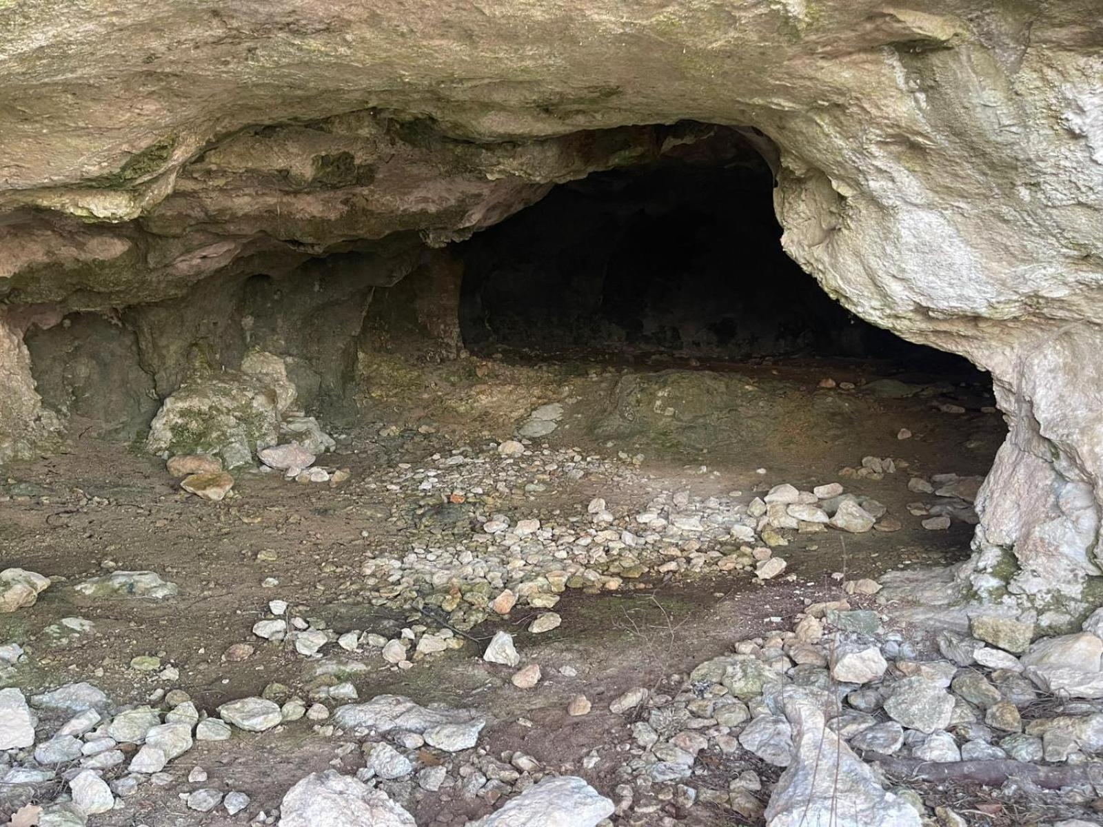 La Torretta - Incantevole Appartamento Nei Colli Berici Nanto Dış mekan fotoğraf