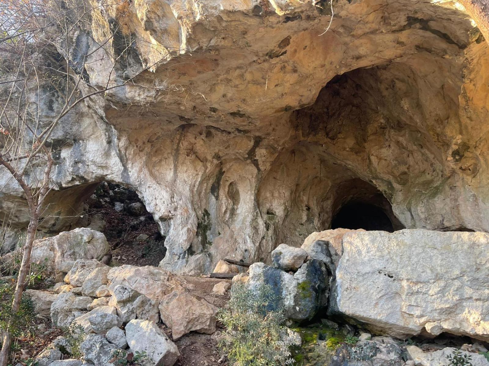 La Torretta - Incantevole Appartamento Nei Colli Berici Nanto Dış mekan fotoğraf