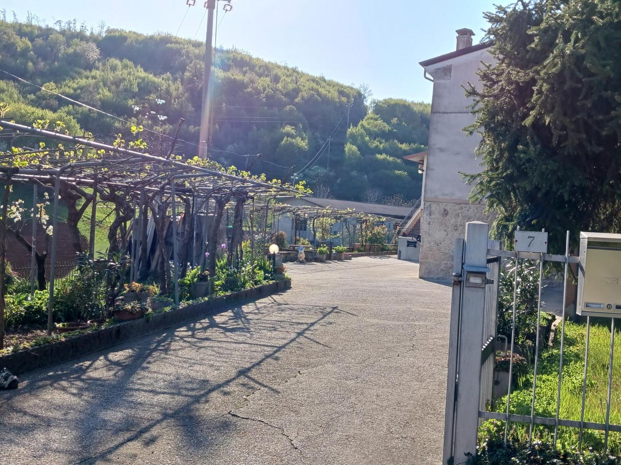 La Torretta - Incantevole Appartamento Nei Colli Berici Nanto Dış mekan fotoğraf