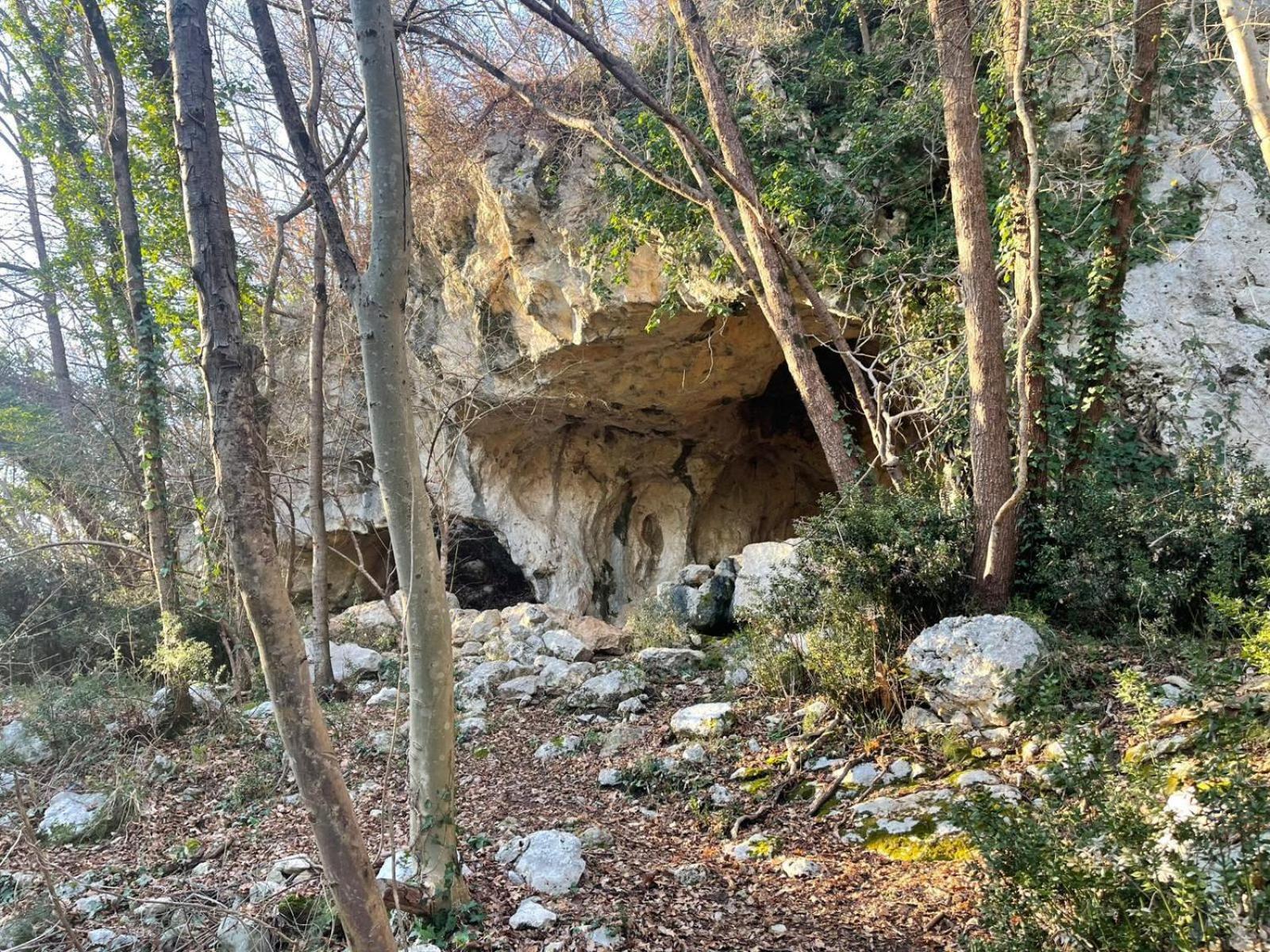 La Torretta - Incantevole Appartamento Nei Colli Berici Nanto Dış mekan fotoğraf